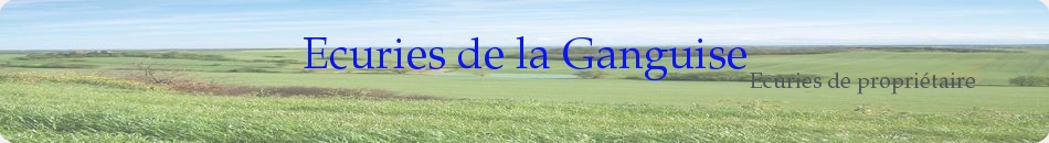 Ecuries de la Ganguise